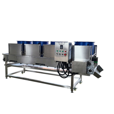 Máquina de secado de frutas y hortalizas de 800 kg/h 600 KG 10,1 kW