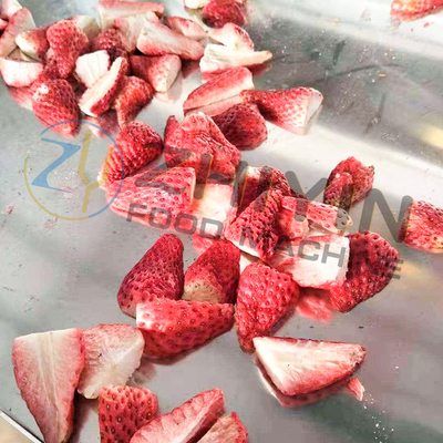 Alimentos Frutas y hortalizas Fragmentos Máquina de secado por congelación
