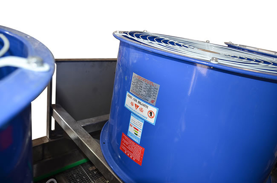 700 kg/h Máquinas para la deshidratación de frutas y verduras con hongos de aire frío