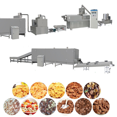 Máquina de secado de frutas y verduras de 160 kW
