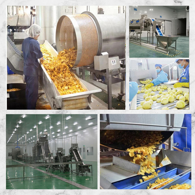 10m*2m*2m Línea de producción de papas fritas La solución perfecta para su negocio