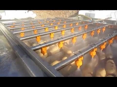 Hair roller cleaning machine, parallel brush vegetables and fruits cleaning machine