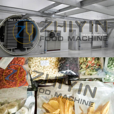Máquina de secado de frutas y hortalizas de 100 kg/h Equipo de liofilización al vacío