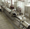 Diésel 800 kg/h 900 kg/h SUS304 Línea de producción de papas fritas totalmente automática