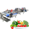 Máquina de lavado de frutas y hortalizas