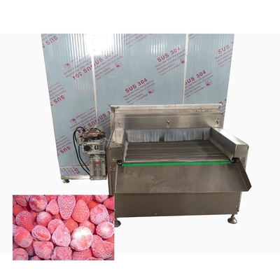 SUS304 Máquina de congelación de alimentos para peces 1500KG/H Iqf congelador de túnel