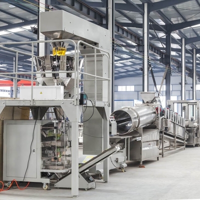 Línea de producción de papas fritas congeladas 2000 kg/h Línea de producción de papas fritas